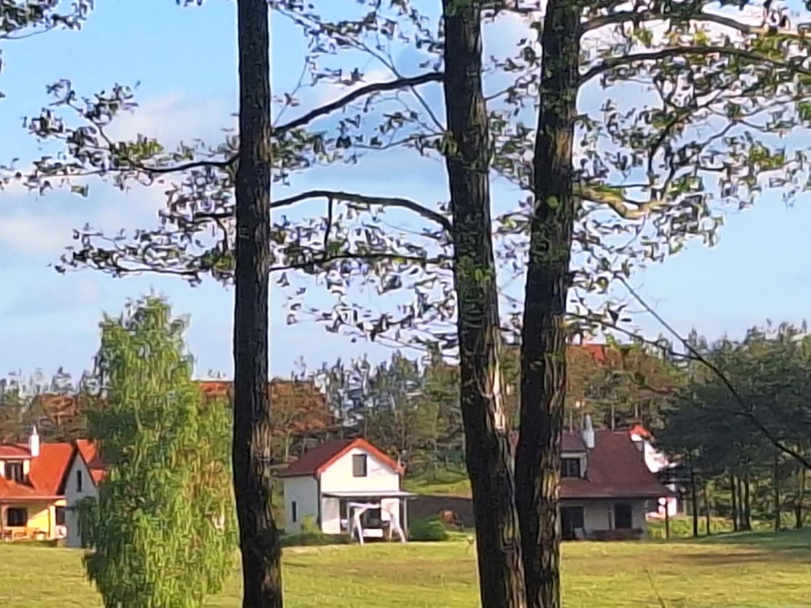 Posiadlosc Nad Zatoka Рын Номер фото
